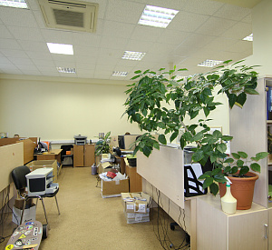 Бизнес-Depo "Новгородская, 1" 3 1500  Аренда