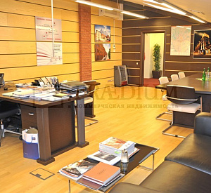 Бизнес-центр "Салют" Мансарда 1161 419 Аренда