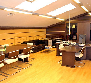 Бизнес-центр "Салют" Мансарда 1161 419 Аренда