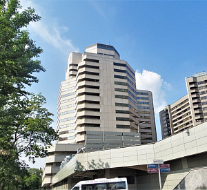 Многофункциональный комплекс "Центр Международной Торговли" Офисное Здание II 17 1353 240 Аренда