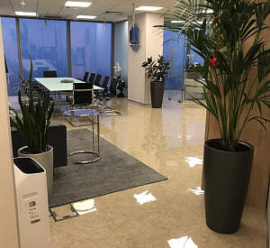 МФК "Федерация"/ Башня "Восток" 56 54.0 51 Аренда